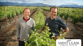 Saint Clair vinice